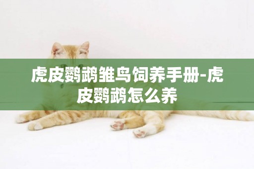 虎皮鸚鵡雛鳥飼養手冊-虎皮鸚鵡怎么養