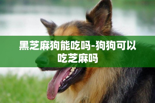 黑芝麻狗能吃嗎-狗狗可以吃芝麻嗎