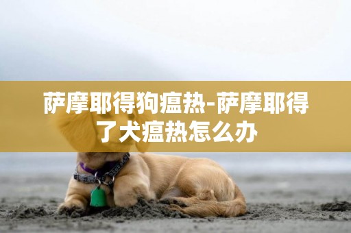 薩摩耶得狗瘟熱-薩摩耶得了犬瘟熱怎么辦