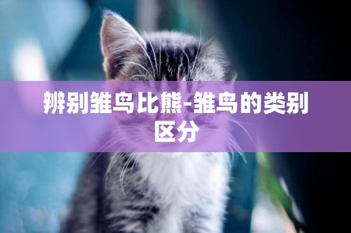 辨別雛鳥比熊-雛鳥的類別區分