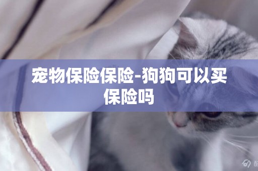 寵物保險保險-狗狗可以買保險嗎
