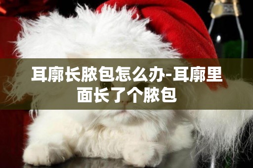 耳廓長膿包怎么辦-耳廓里面長了個膿包