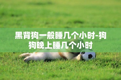 黑背狗一般睡幾個小時-狗狗晚上睡幾個小時