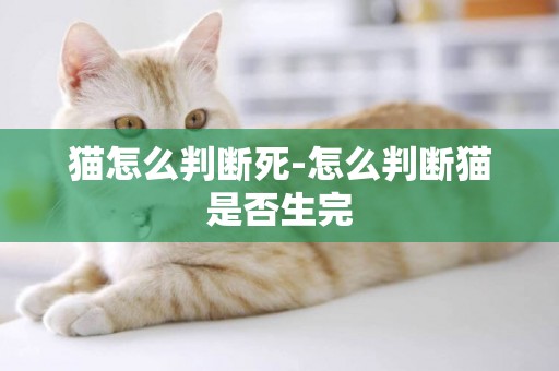 貓怎么判斷死-怎么判斷貓是否生完