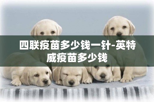 四聯疫苗多少錢一針-英特威疫苗多少錢