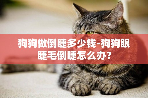 狗狗做倒睫多少錢-狗狗眼睫毛倒睫怎么辦？