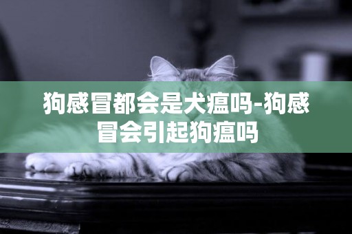 狗感冒都會是犬瘟嗎-狗感冒會引起狗瘟嗎