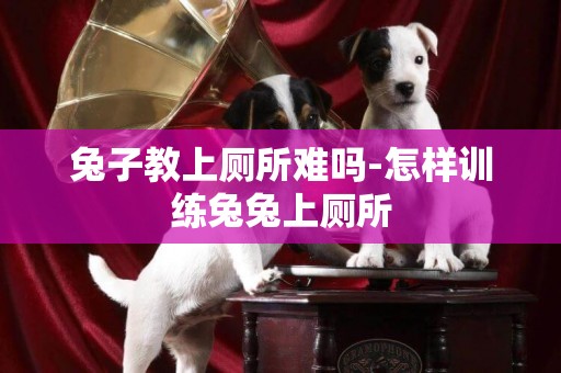兔子教上廁所難嗎-怎樣訓練兔兔上廁所