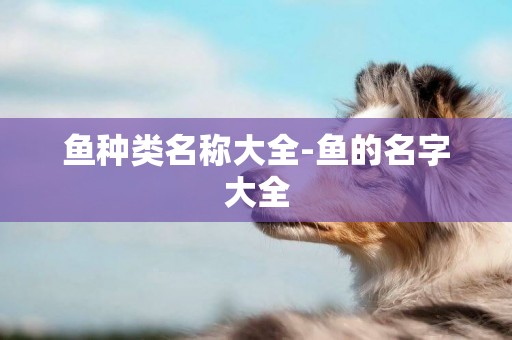 魚種類名稱大全-魚的名字大全