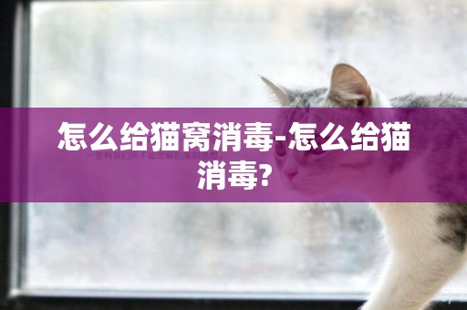 怎么給貓窩消毒-怎么給貓消毒?
