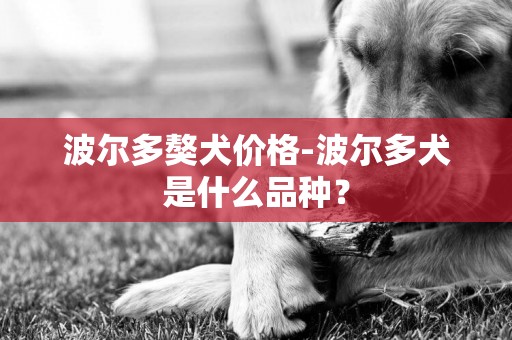 波爾多獒犬價格-波爾多犬是什么品種？