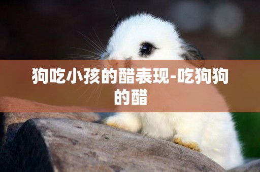 狗吃小孩的醋表現-吃狗狗的醋