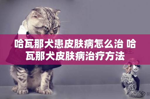 哈瓦那犬患皮膚病怎么治 哈瓦那犬皮膚病治療方法