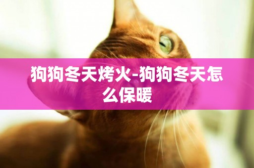 狗狗冬天烤火-狗狗冬天怎么保暖