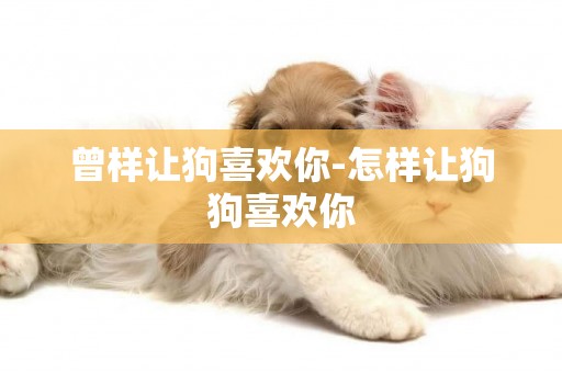 曾樣讓狗喜歡你-怎樣讓狗狗喜歡你