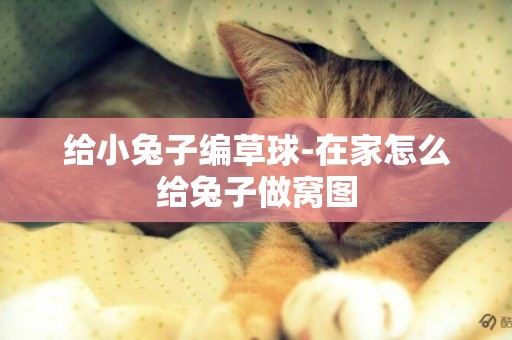 給小兔子編草球-在家怎么給兔子做窩圖