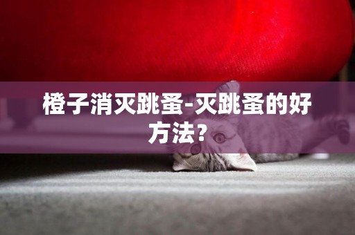 橙子消滅跳蚤-滅跳蚤的好方法？