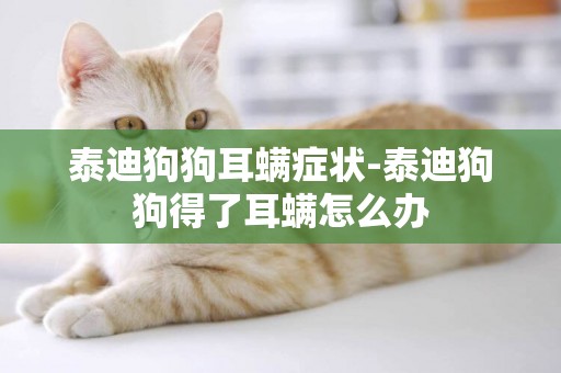 泰迪狗狗耳螨癥狀-泰迪狗狗得了耳螨怎么辦