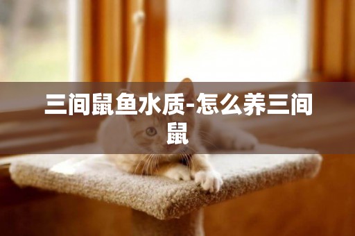 三間鼠魚水質-怎么養三間鼠