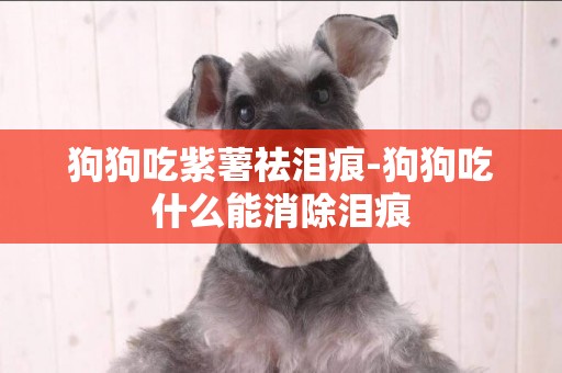 狗狗吃紫薯祛淚痕-狗狗吃什么能消除淚痕