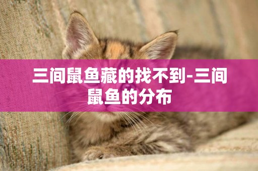 三間鼠魚藏的找不到-三間鼠魚的分布