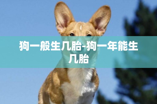 狗一般生幾胎-狗一年能生幾胎