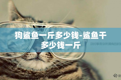 狗鯊魚一斤多少錢-鯊魚干多少錢一斤