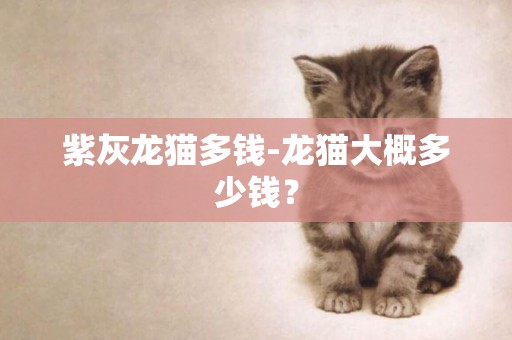 紫灰龍貓多錢-龍貓大概多少錢？