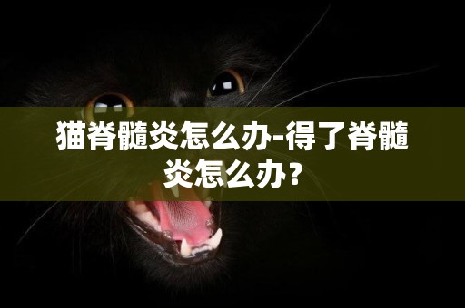 貓脊髓炎怎么辦-得了脊髓炎怎么辦？
