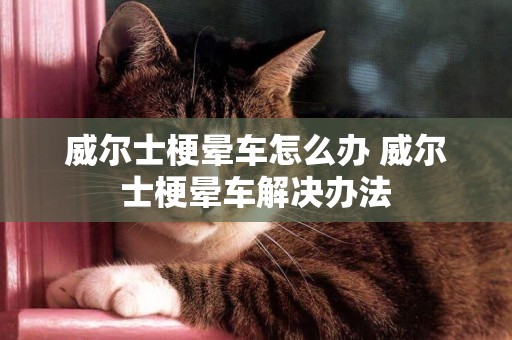 威爾士梗暈車怎么辦 威爾士梗暈車解決辦法