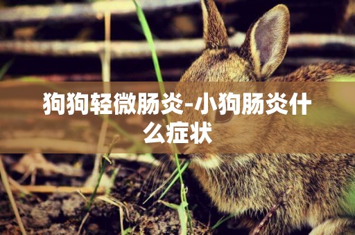 狗狗輕微腸炎-小狗腸炎什么癥狀