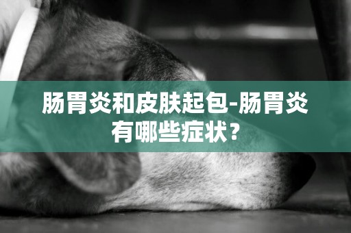 腸胃炎和皮膚起包-腸胃炎有哪些癥狀？