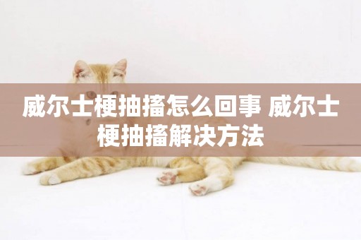 威爾士梗抽搐怎么回事 威爾士梗抽搐解決方法