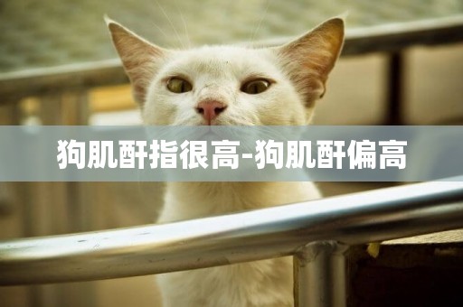 狗肌酐指很高-狗肌酐偏高