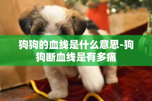 狗狗的血線是什么意思-狗狗斷血線是有多痛