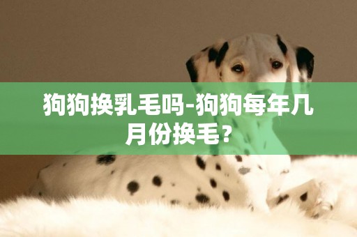 狗狗換乳毛嗎-狗狗每年幾月份換毛？