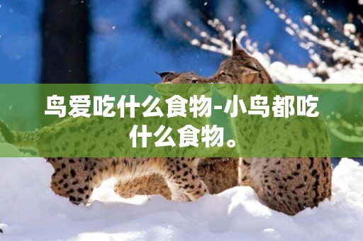 鳥愛吃什么食物-小鳥都吃什么食物。