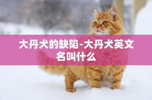 大丹犬的缺陷-大丹犬英文名叫什么