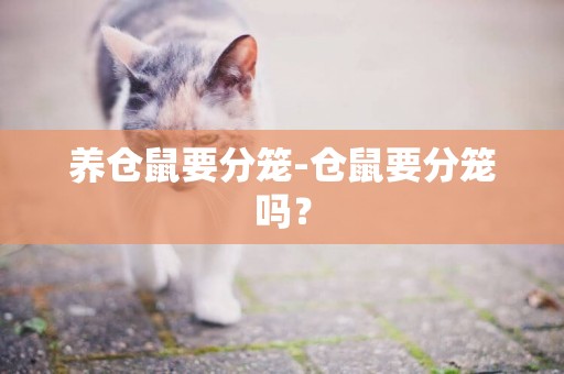 養倉鼠要分籠-倉鼠要分籠嗎？