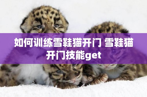如何訓練雪鞋貓開門 雪鞋貓開門技能get