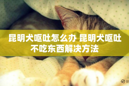 昆明犬嘔吐怎么辦 昆明犬嘔吐不吃東西解決方法