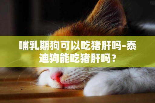 哺乳期狗可以吃豬肝嗎-泰迪狗能吃豬肝嗎？