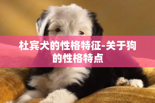 杜賓犬的性格特征-關于狗的性格特點