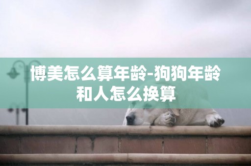 博美怎么算年齡-狗狗年齡和人怎么換算