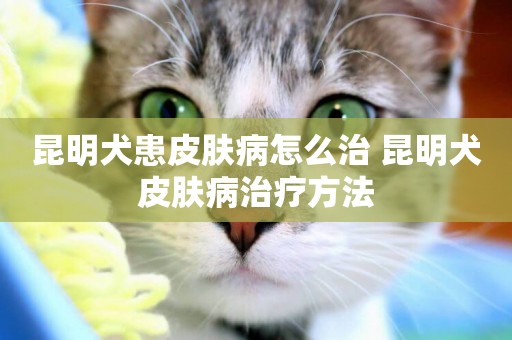 昆明犬患皮膚病怎么治 昆明犬皮膚病治療方法
