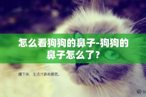 怎么看狗狗的鼻子-狗狗的鼻子怎么了？