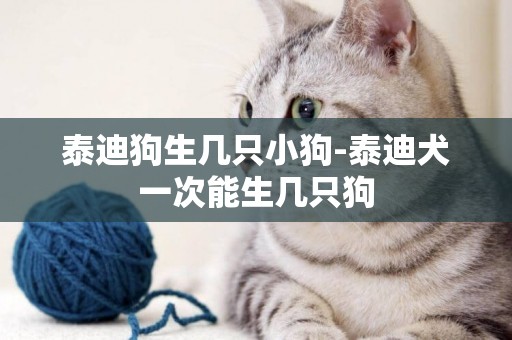 泰迪狗生幾只小狗-泰迪犬一次能生幾只狗