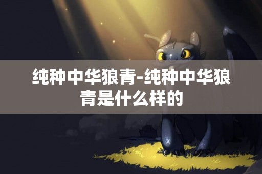 純種中華狼青-純種中華狼青是什么樣的