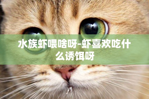 水族蝦喂啥呀-蝦喜歡吃什么誘餌呀