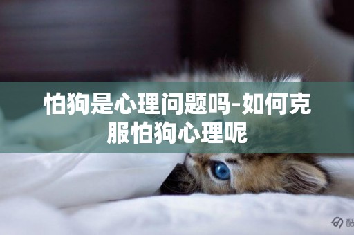 怕狗是心理問題嗎-如何克服怕狗心理呢